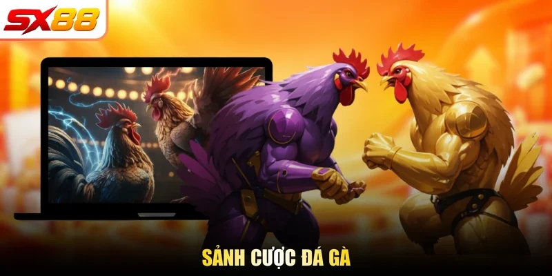 Sảnh cược đá gà